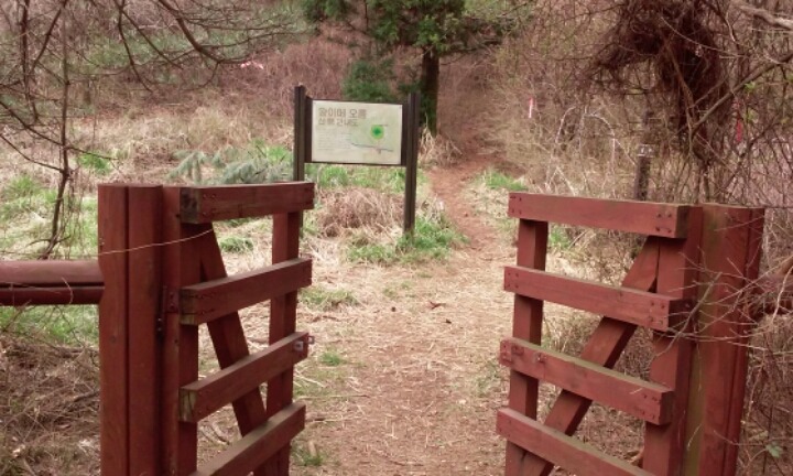 왕이메오름 관련 이미지 2