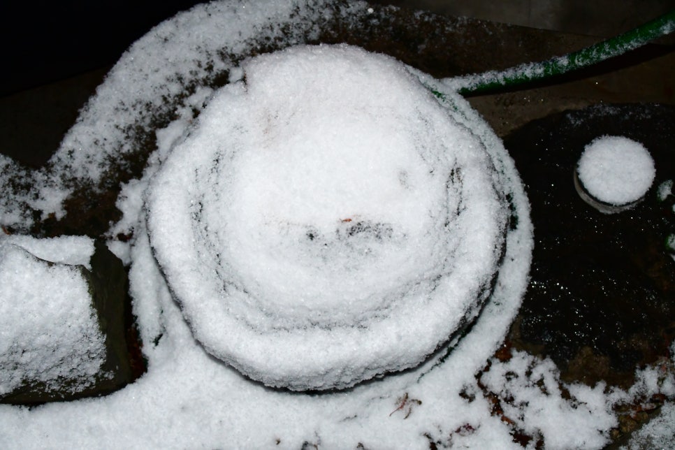 밤세 자고난이 관련 이미지 4