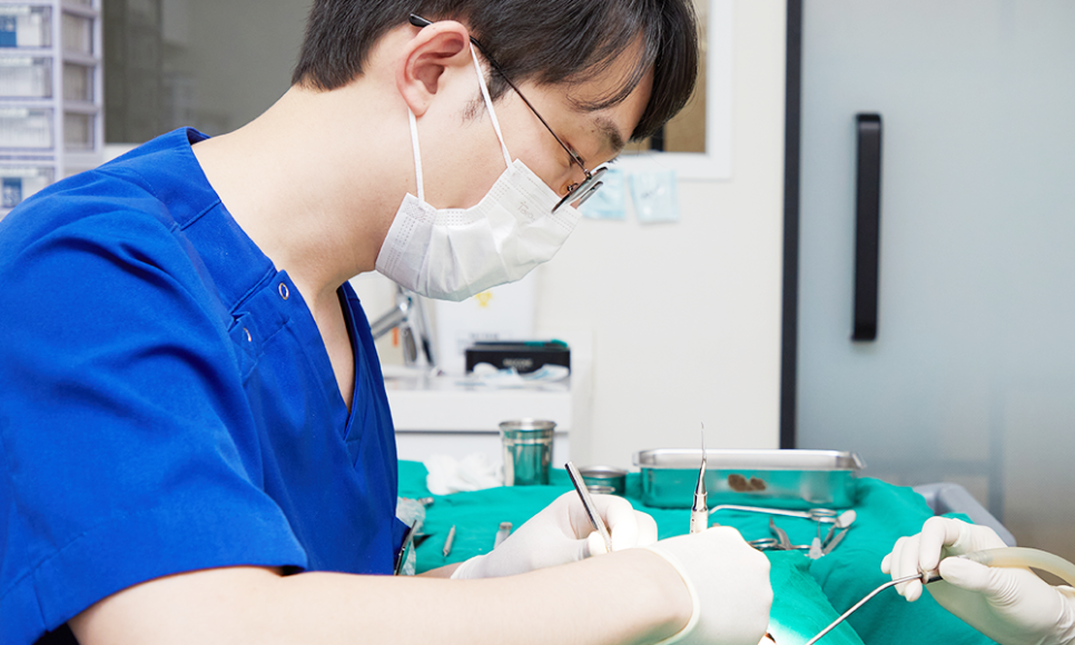 치과 앞니 사이 레진, 당일 진료 가능 관련 이미지 13