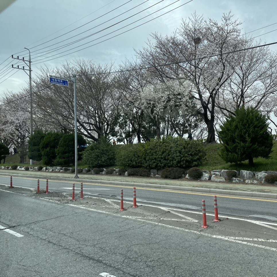 요즘 야구 시즌인가요? 관련 이미지 1