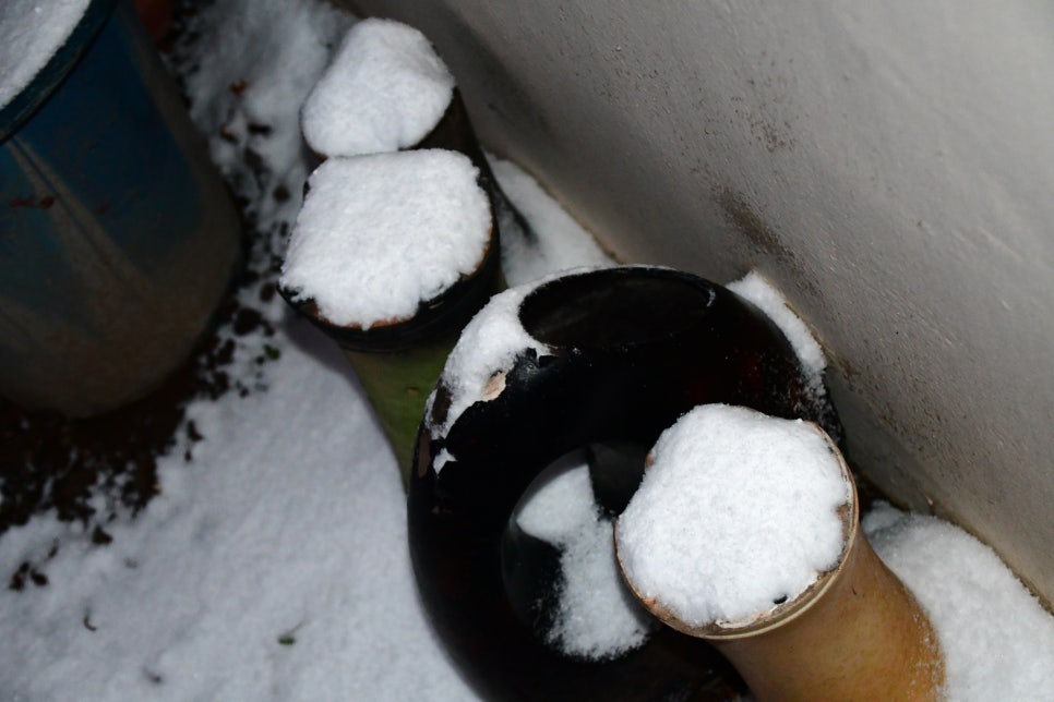 밤세 자고난이 관련 이미지 7