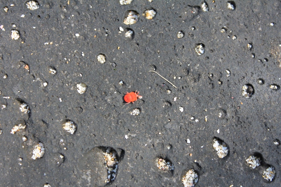 한담 곽지 해안산책로 3 관련 이미지 5