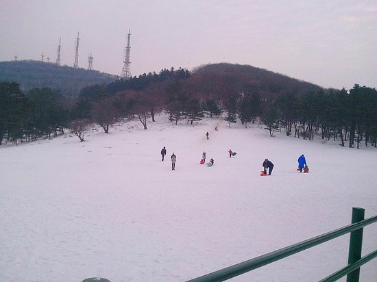 제주마방목지 관련 이미지 2