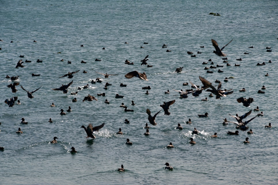 하늘 날다 관련 이미지 1