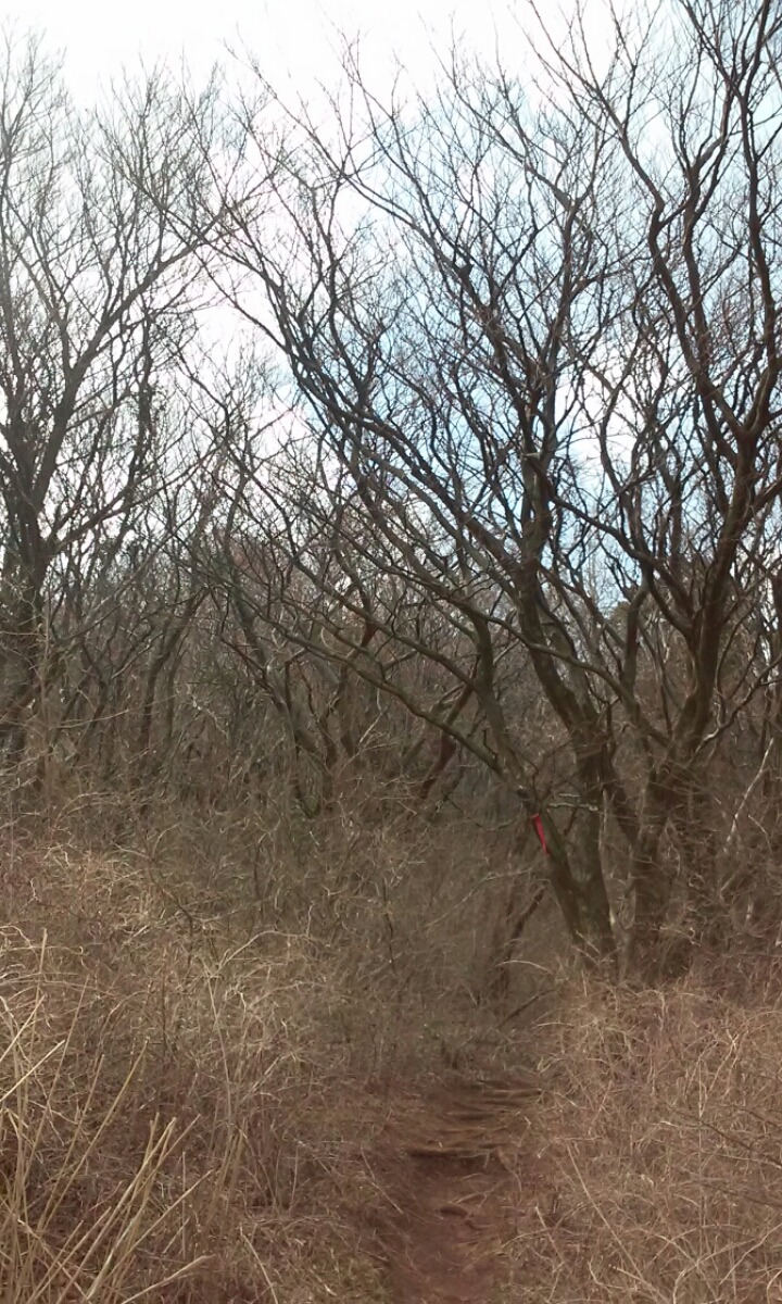 왕이메오름 관련 이미지 5