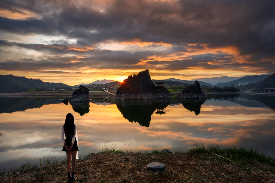 갈매기의 식성과 사회 생활정보 관련 이미지 1