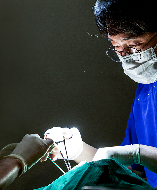 임플란트 브릿지와 크라운 수복으로 치아 기능을 회복시킨 증례 관련 이미지 9