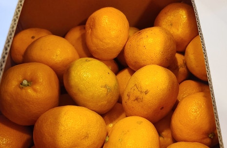 환자분들께서 선물해 주신 새콤한 귤과 음료들! 관련 이미지 6