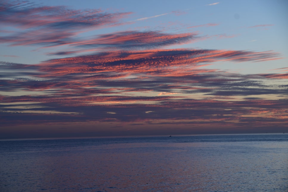 오늘의 황혼을 그림으로 위한한다 관련 이미지 3