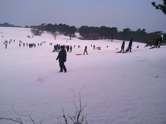 제주마방목지 관련 이미지 1