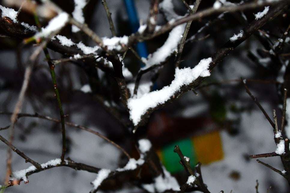 밤세 자고난이 관련 이미지 3