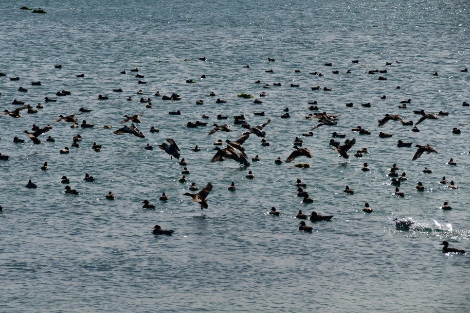 하늘 날다 관련 이미지 2