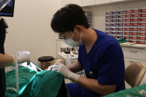 발치 후 임플란트 꼭 해야하는 이유 (잇몸뼈 소실, 쓰러짐, 정출) 관련 이미지 8