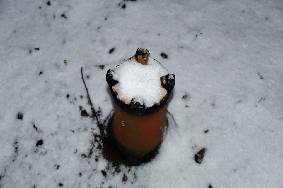 밤세 자고난이 관련 이미지 6