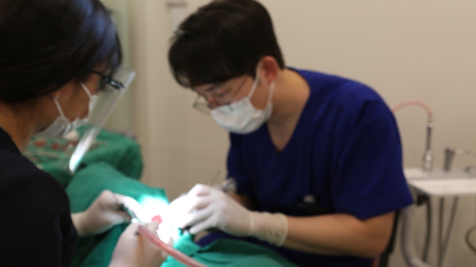 강남치아교정잘하는 교정 고무줄 통증 주의사항 관련 이미지 3