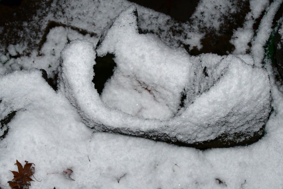 밤세 자고난이 관련 이미지 5