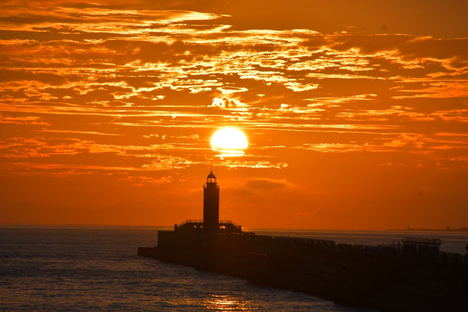 오늘의 황혼을 그림으로 위한한다 관련 이미지 8