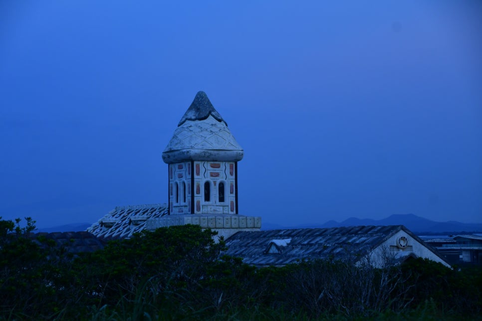 페가 되버린 섭지 코지 관련 이미지 4