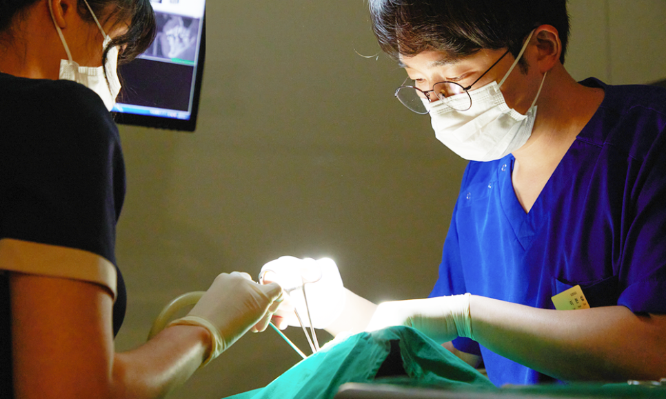 치과 앞니 사이 레진, 당일 진료 가능 관련 이미지 5