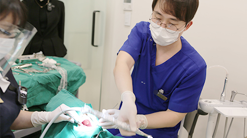 잠원역사랑니 발치 후에 식사 음식? 관련 이미지 6