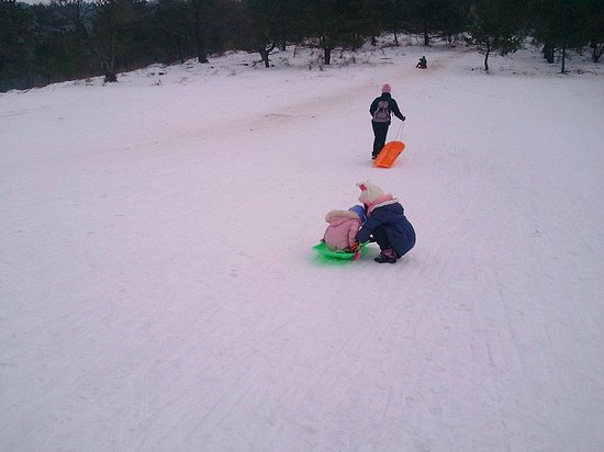 제주마방목지 관련 이미지 3